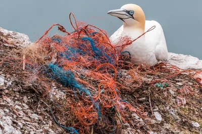 Pourquoi l'équerre plastique reste indispensable sur votre bureau en 2026